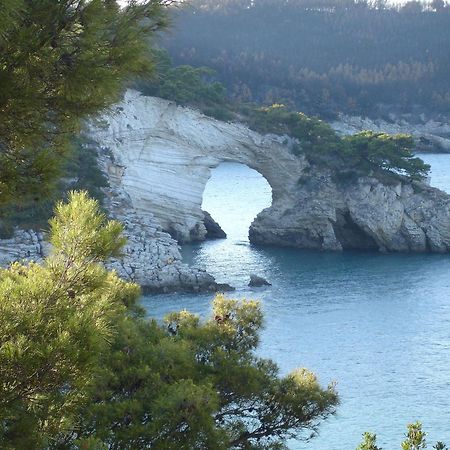 Uria Rooms & Suite B&B Vieste Exterior foto